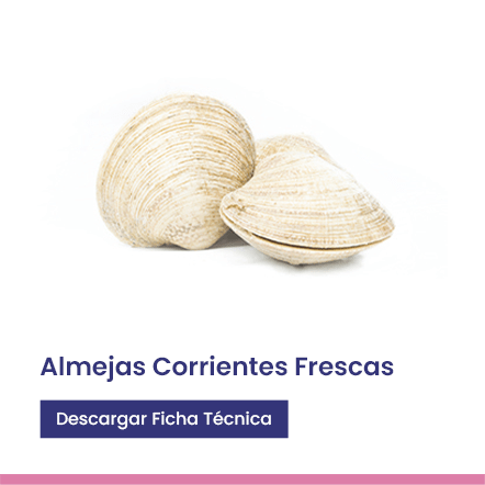 Almejas Corrientes