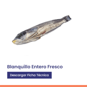 Blanquillo entero