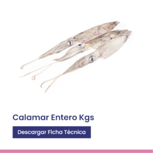 Calamar entero