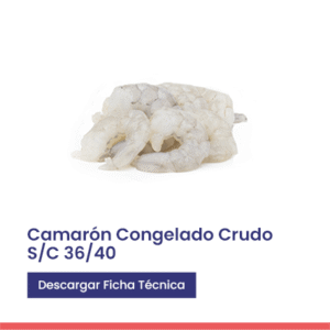 Camarón congelado crudo 3640