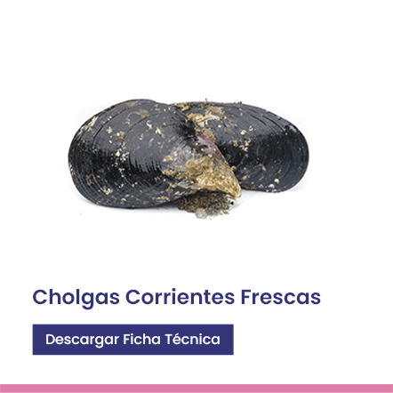 Cholgas Corrientes frescas