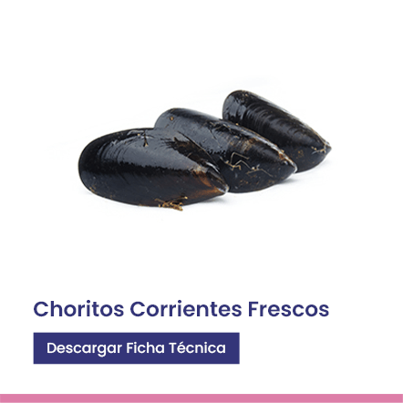 Choritos Corrientes frescos