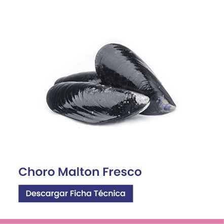 Choro maltón