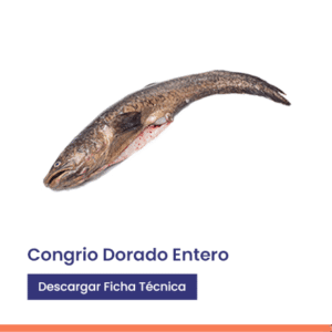 congrio Dorado entero