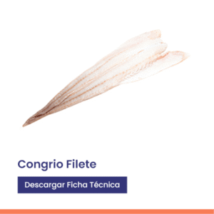 congrio filete