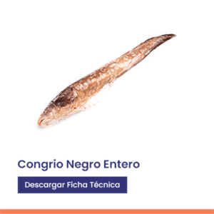 congrio Negro entero