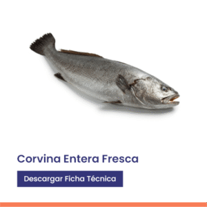 Corvina entera