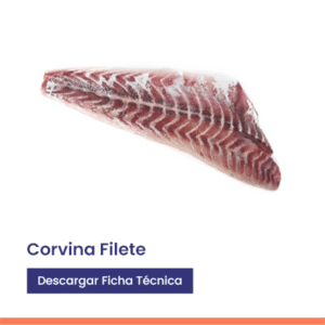 Corvina filete