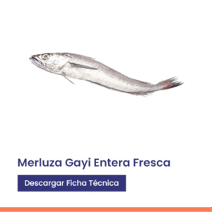 Merluza Gayi entera