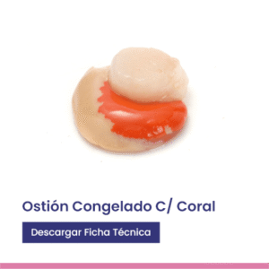 Ostión congelado Ccoral
