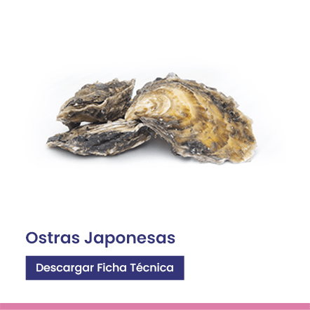 Ostras Japonesas