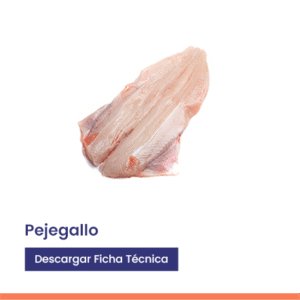 Pejegallo