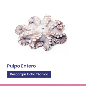 Pulpo entero