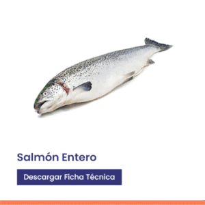 Salmón entero